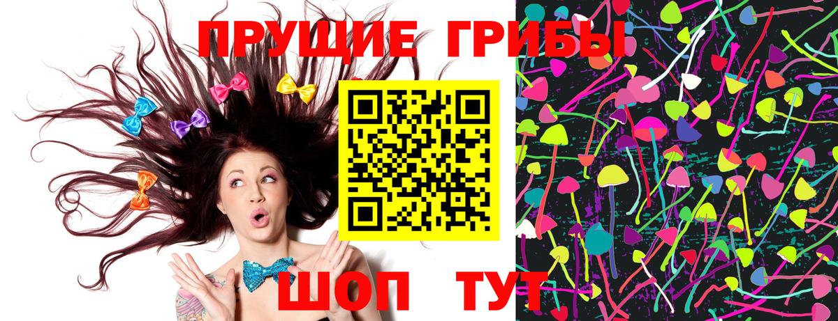 Псилоцибиновые грибы прущие грибы Киров