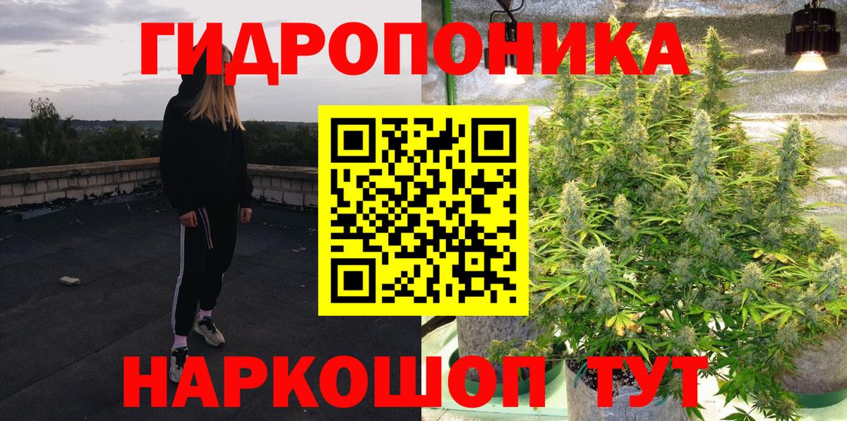 Марихуана White Widow  Конопля план  МАРИХУАНА гибрид  Вход с VPN  Киров  Шишки марихуана план 